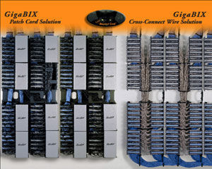 GigaBIX¹